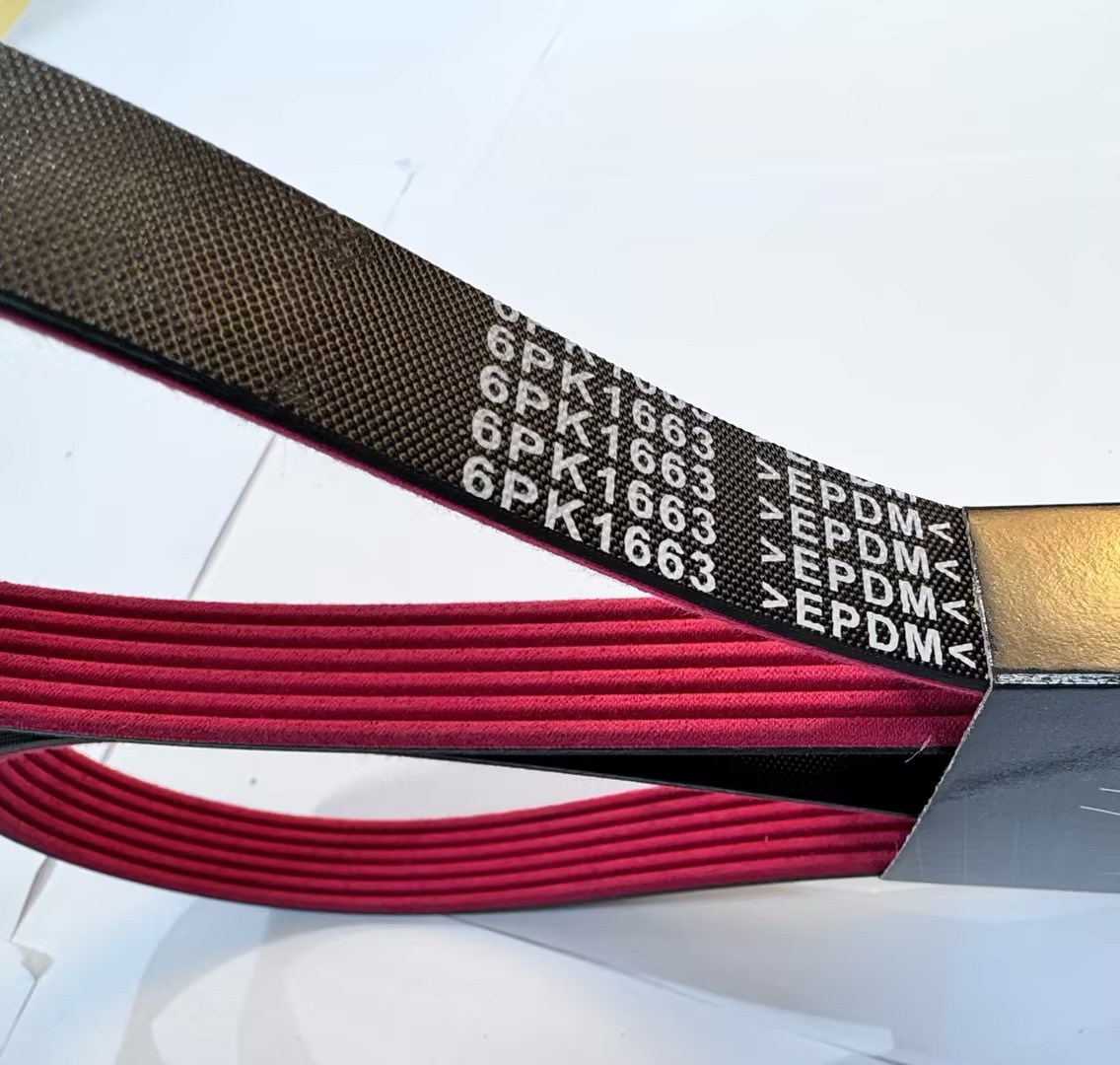 Colored Engine PK Belts - 图片 5