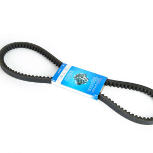 TEETH BELT1