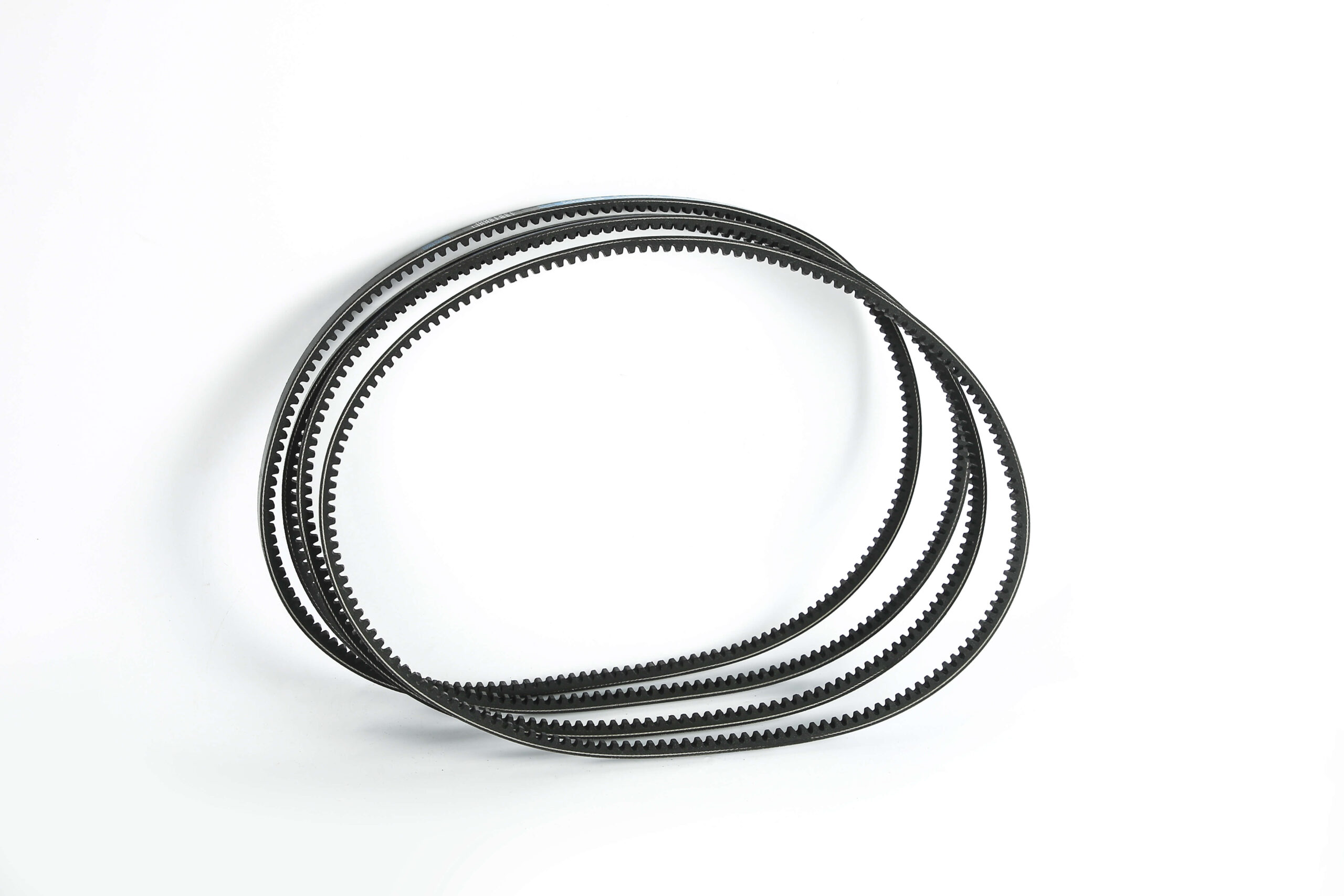 TEETH BELT1 - 图片 2