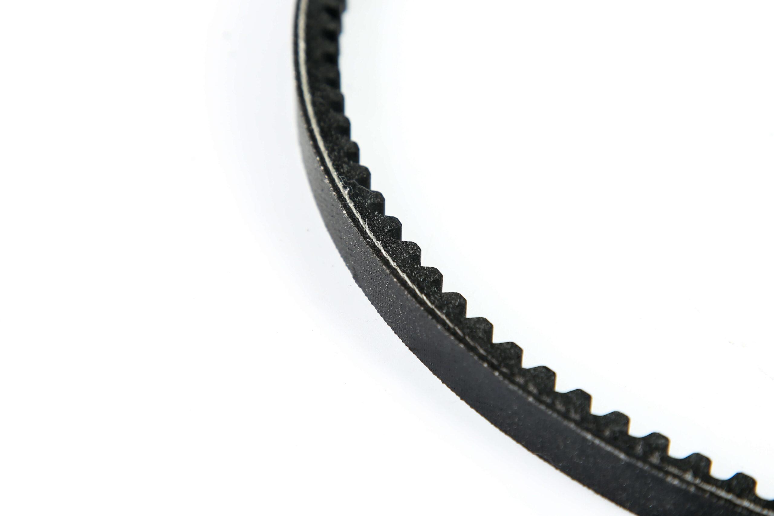 TEETH BELT1 - 图片 5