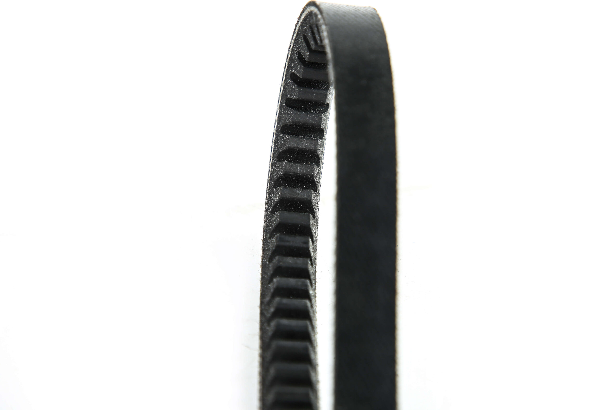 TEETH BELT1 - 图片 6