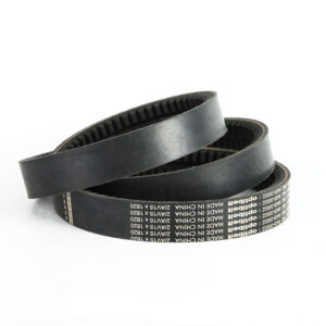 BANDED TEETH BELT2
