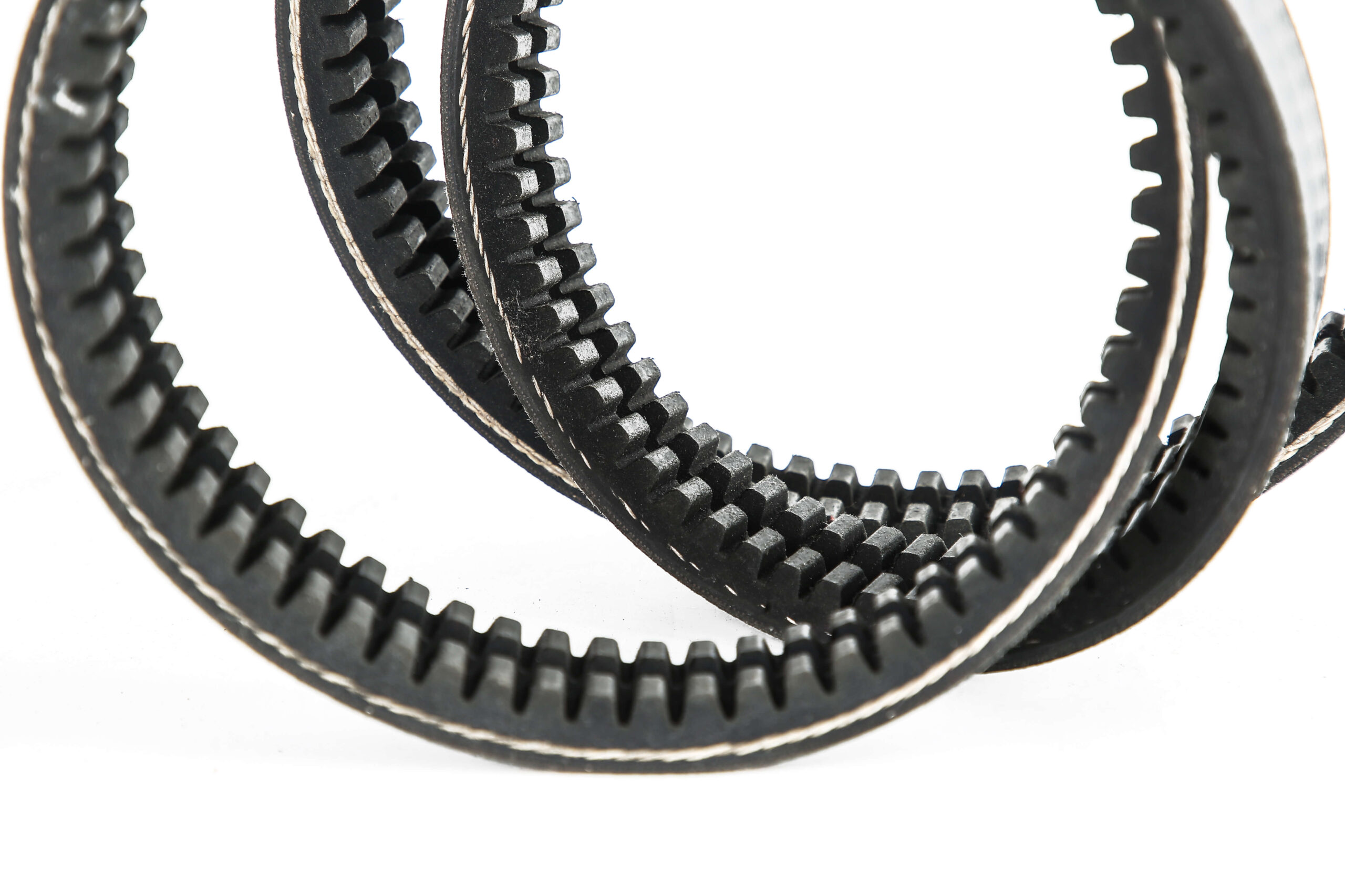BANDED TEETH BELT2 - 图片 2