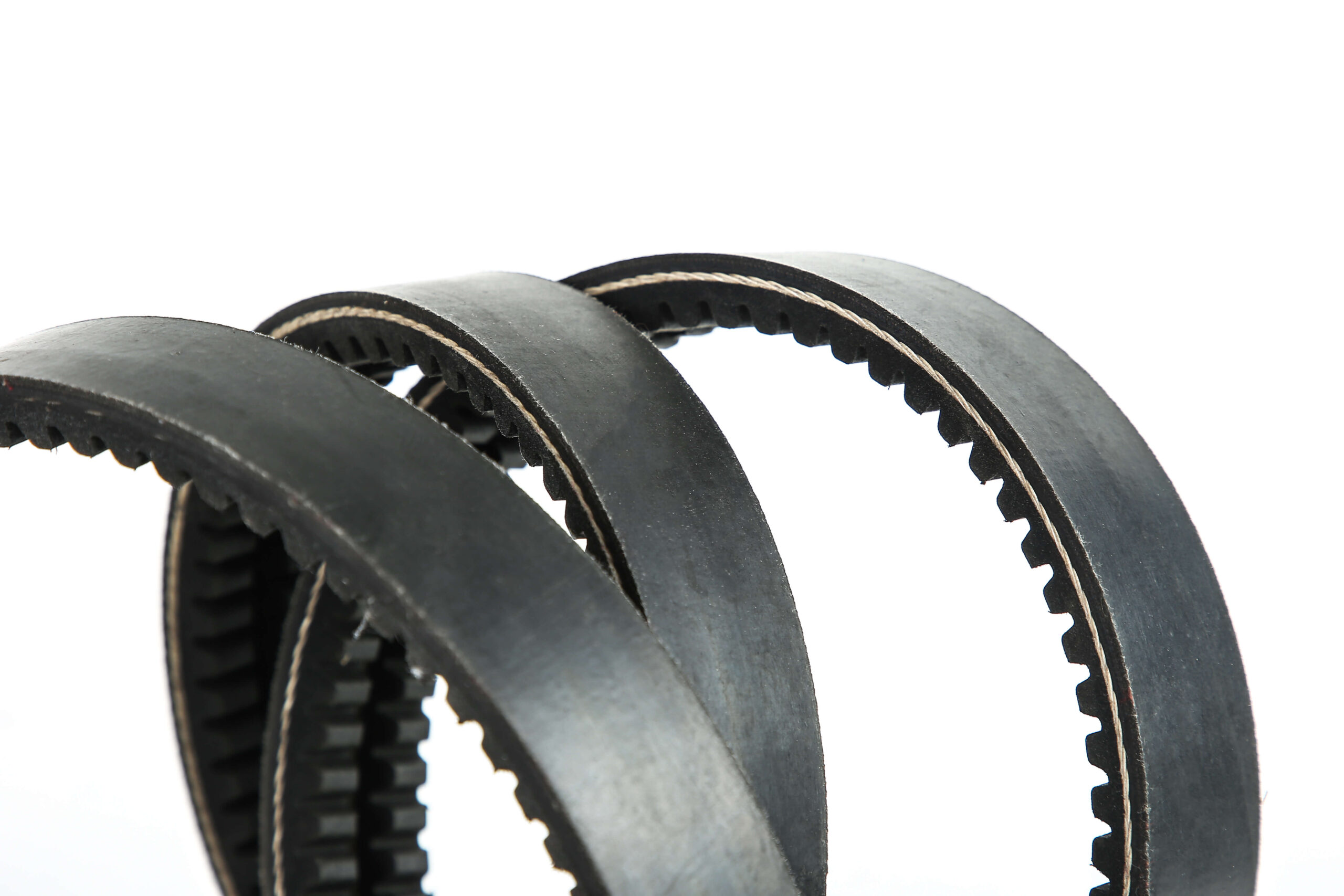 BANDED TEETH BELT2 - 图片 4