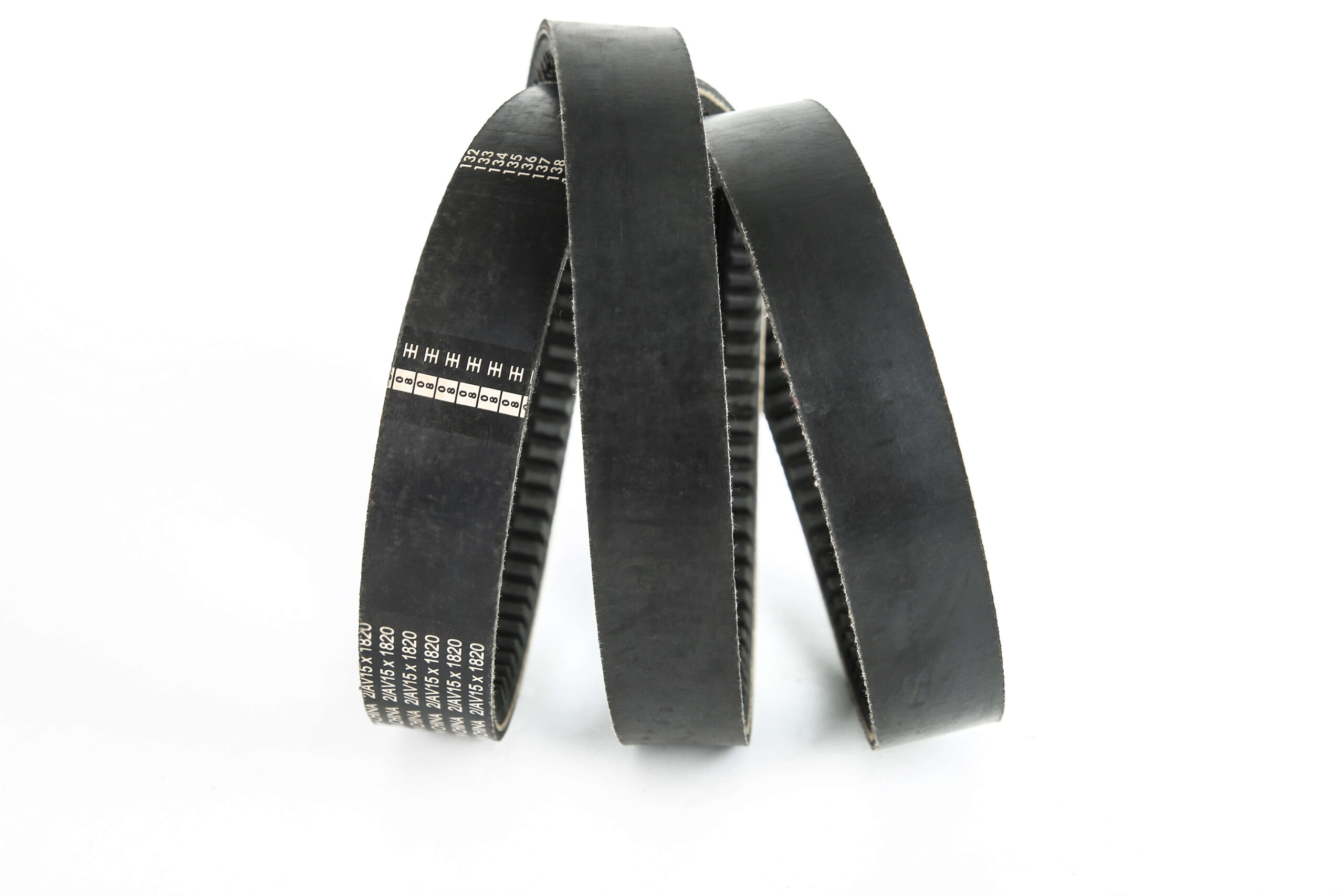 BANDED TEETH BELT2 - 图片 5
