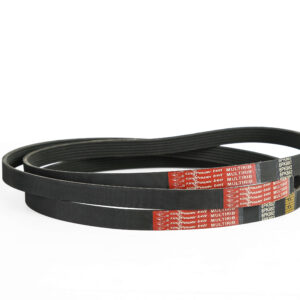 PK BELT