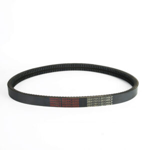 BAND TEETH BELT