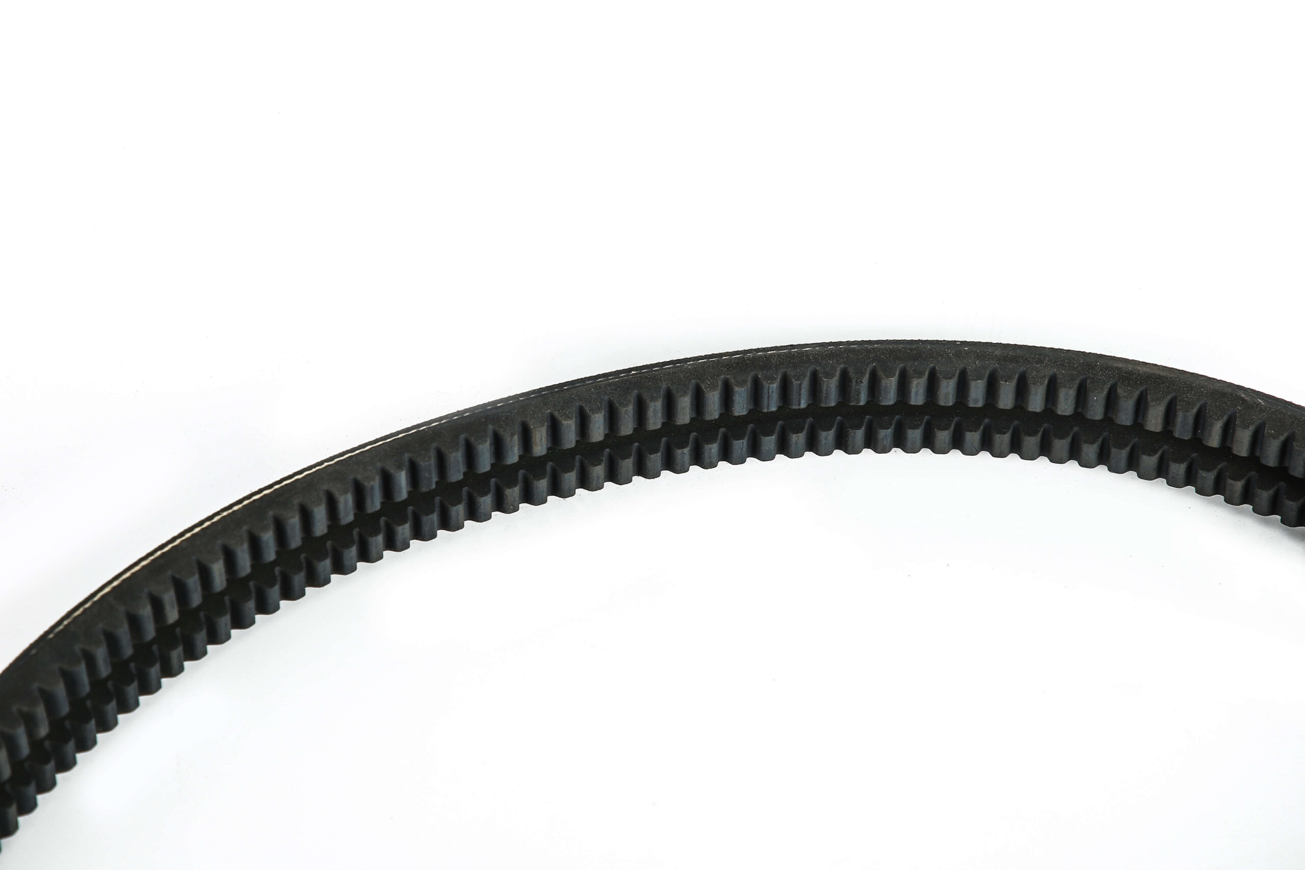 BAND TEETH BELT - 图片 2
