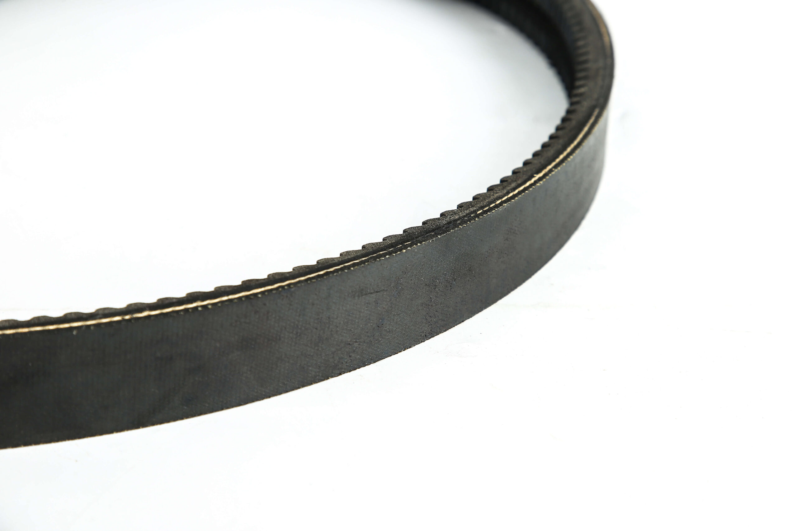 BAND TEETH BELT - 图片 3