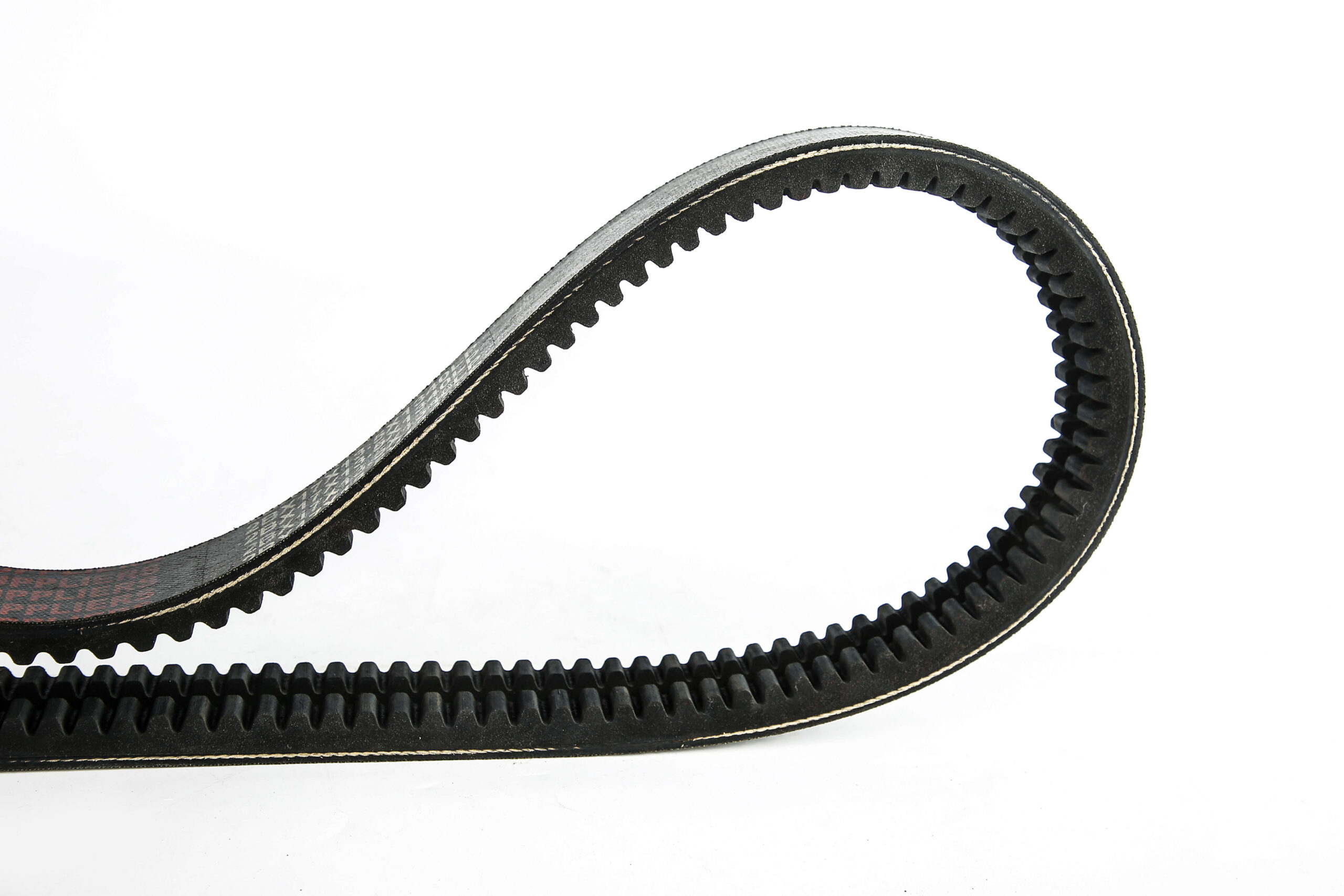 BAND TEETH BELT - 图片 4