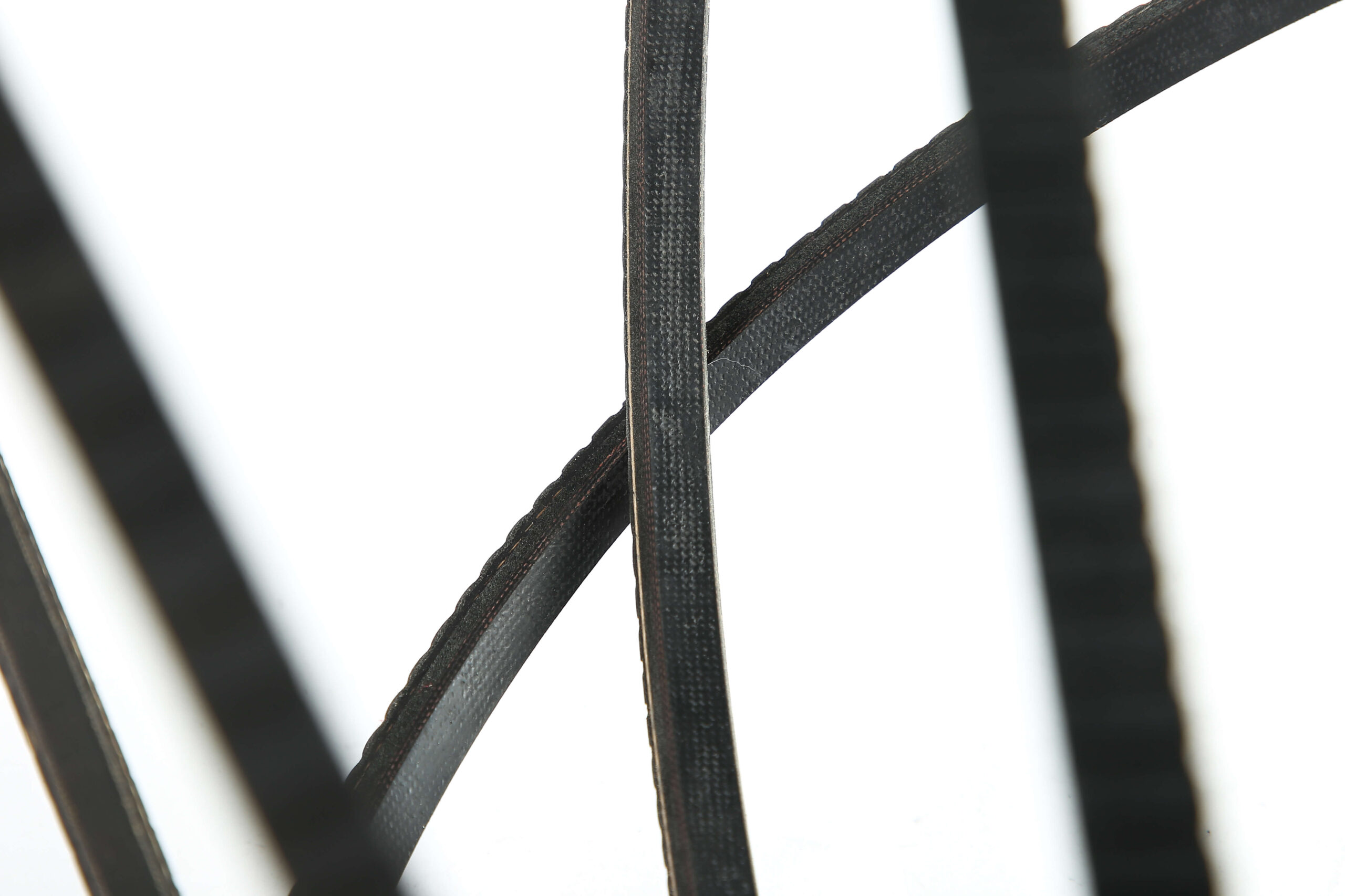 OUTSIDE TEETH REL BELT - 图片 3