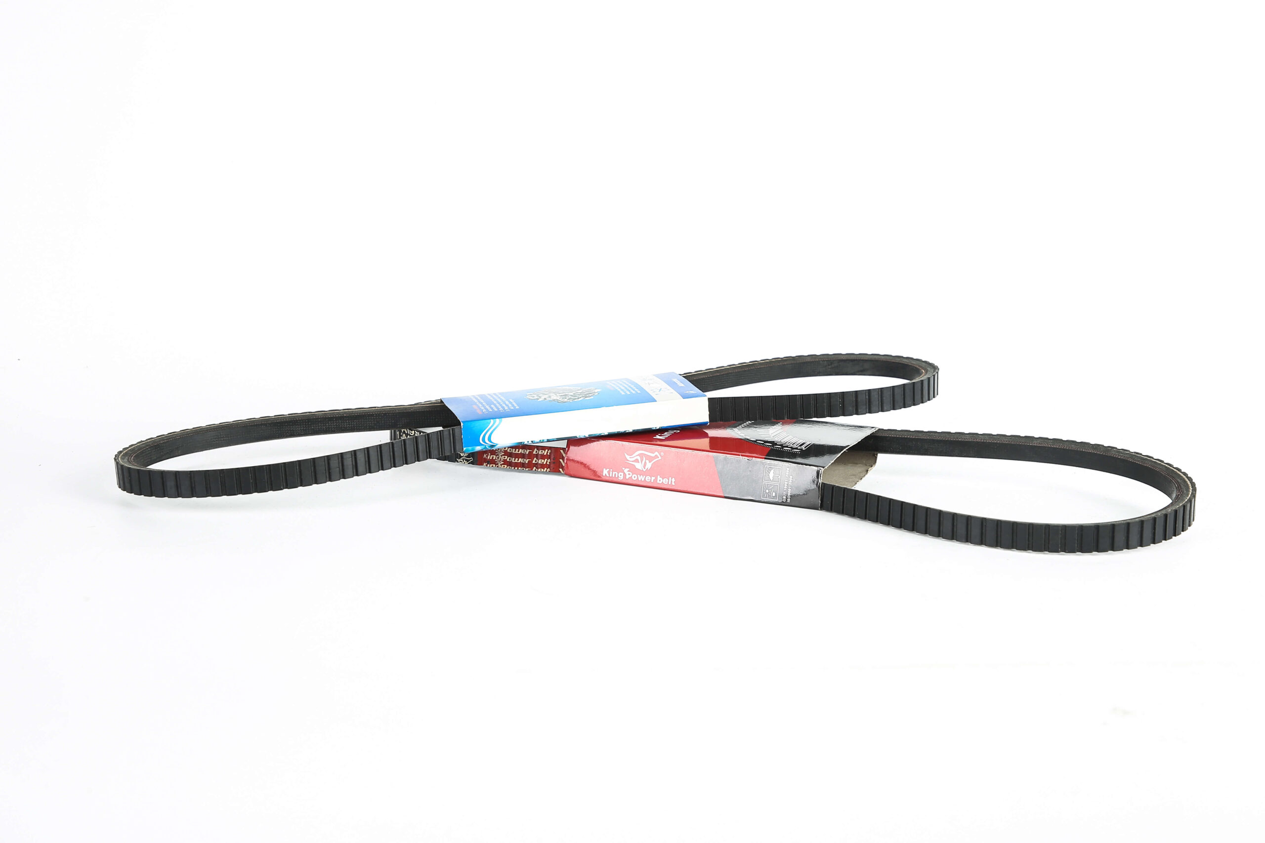 OUTSIDE TEETH REL BELT - 图片 2